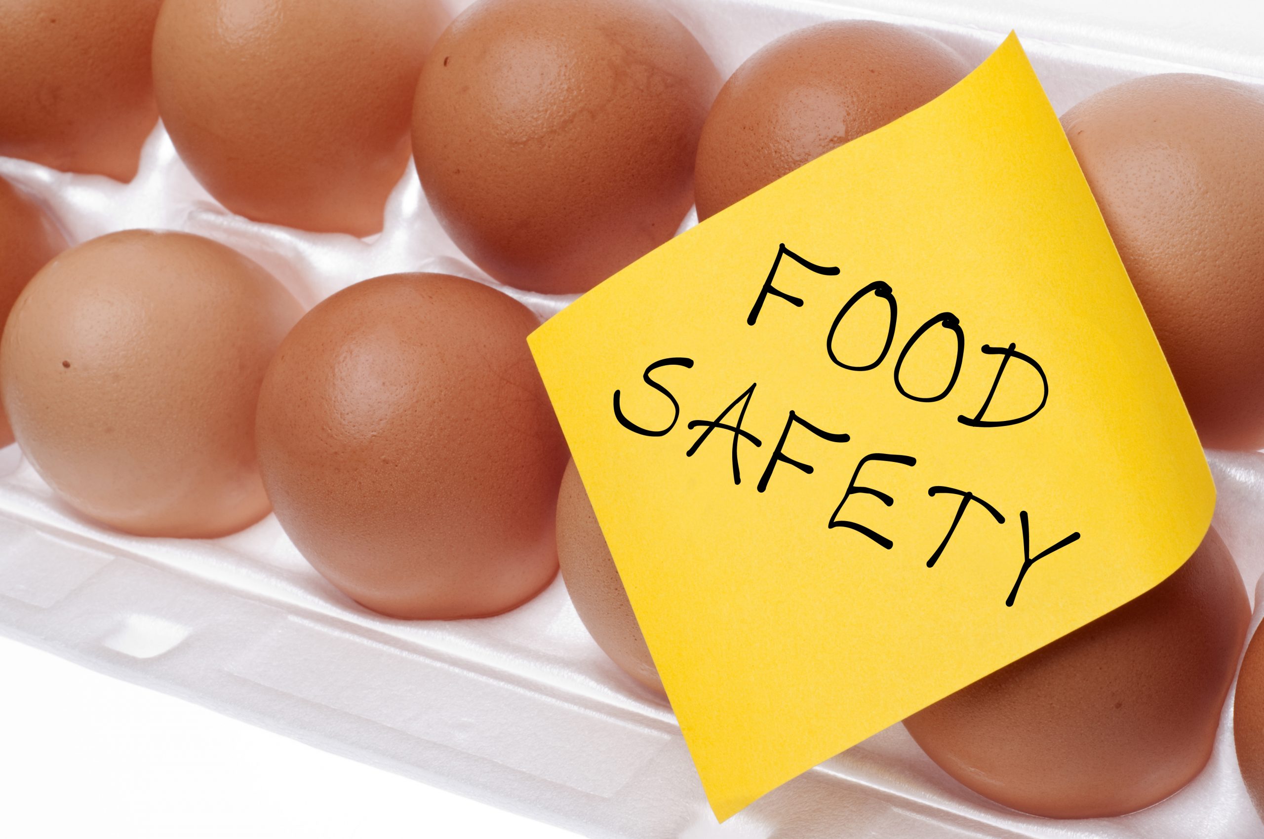 Are You Prepared for Recalls and Outbreaks in Your Food Preps?