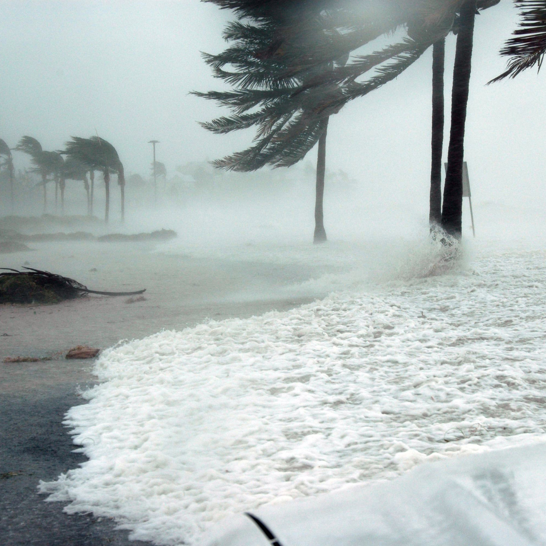 Are You Prepared For The Next Hurricane or Tropical Storm?