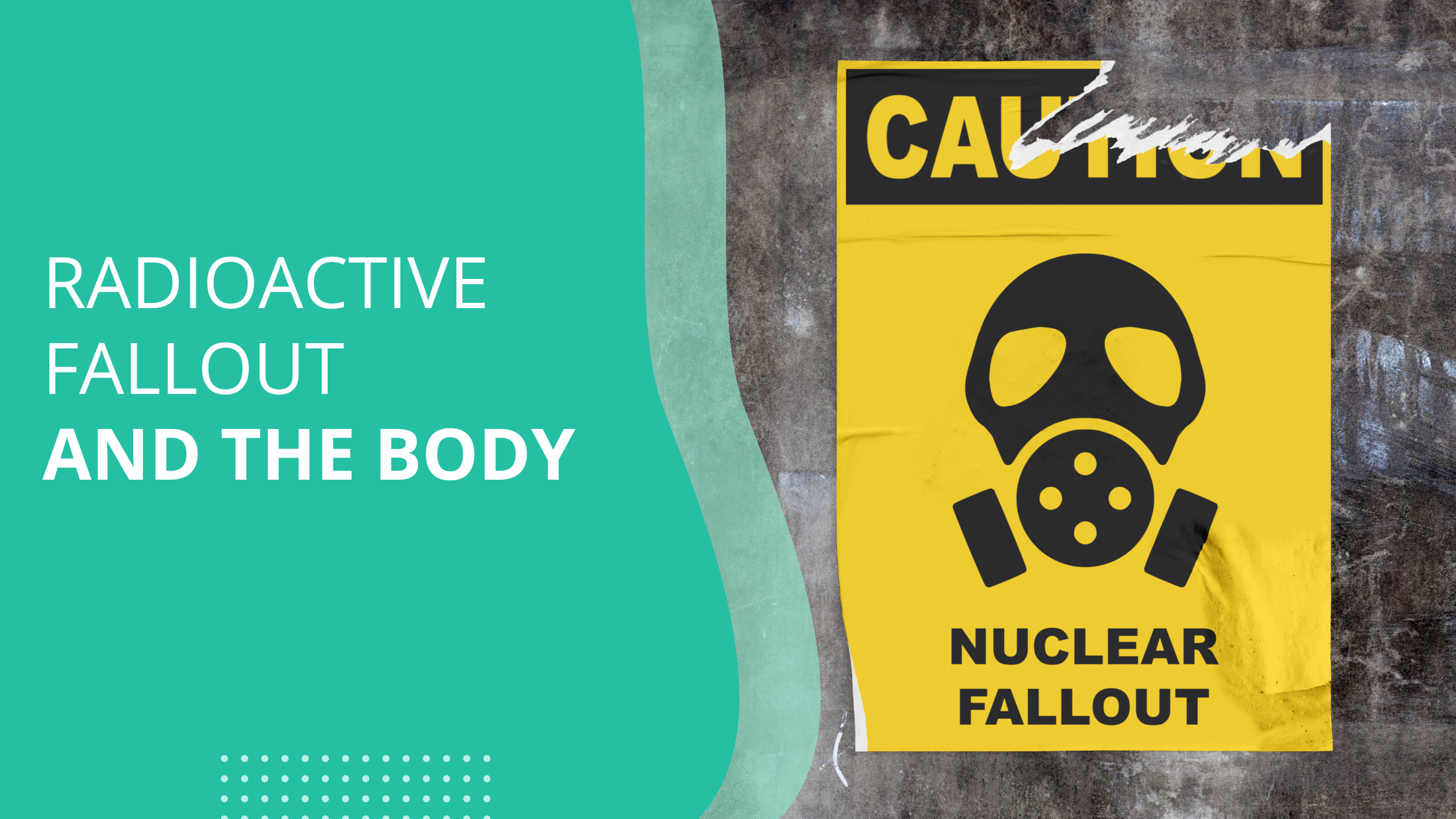 Radioactive Fallout and the Body