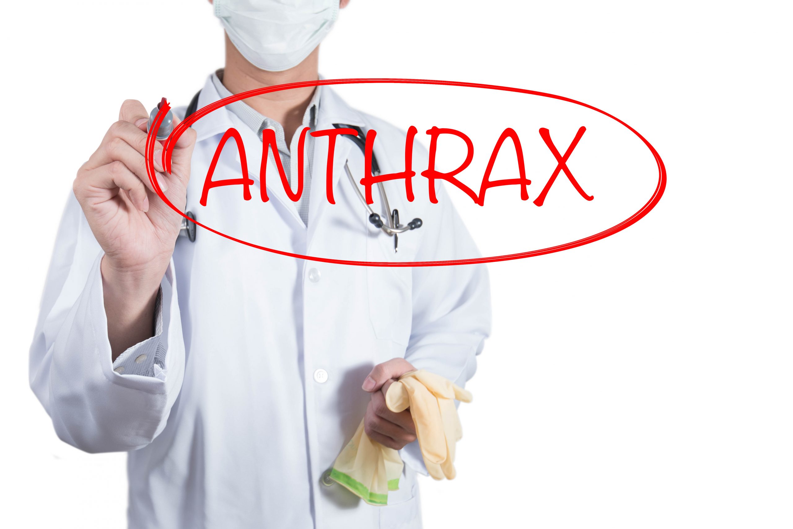 Anthrax as a Bioterror Weapon