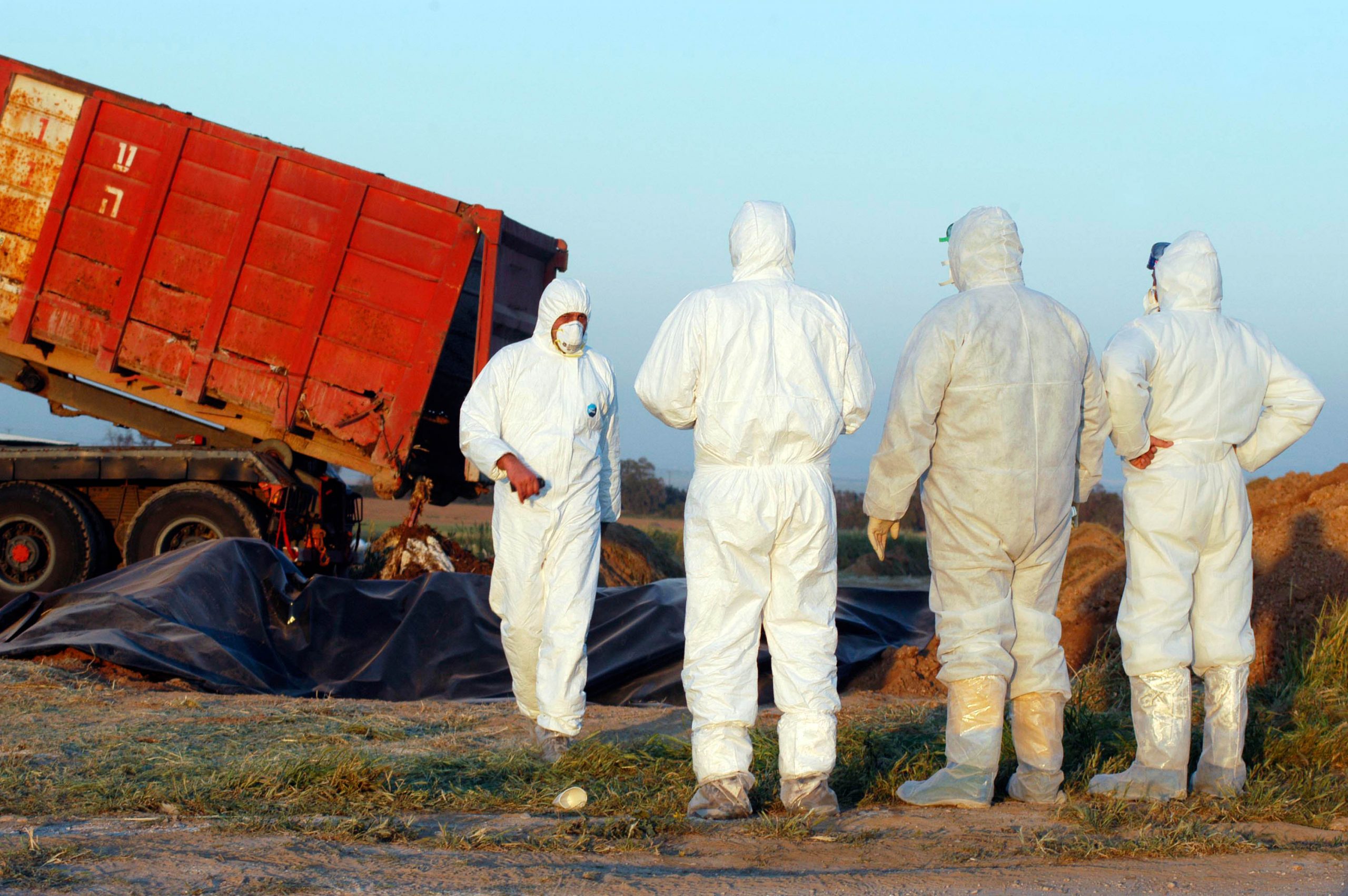 Avian Influenza Adds to Skyrocketing Thanksgiving Meal