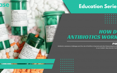How do Antibiotics Work? Part 2