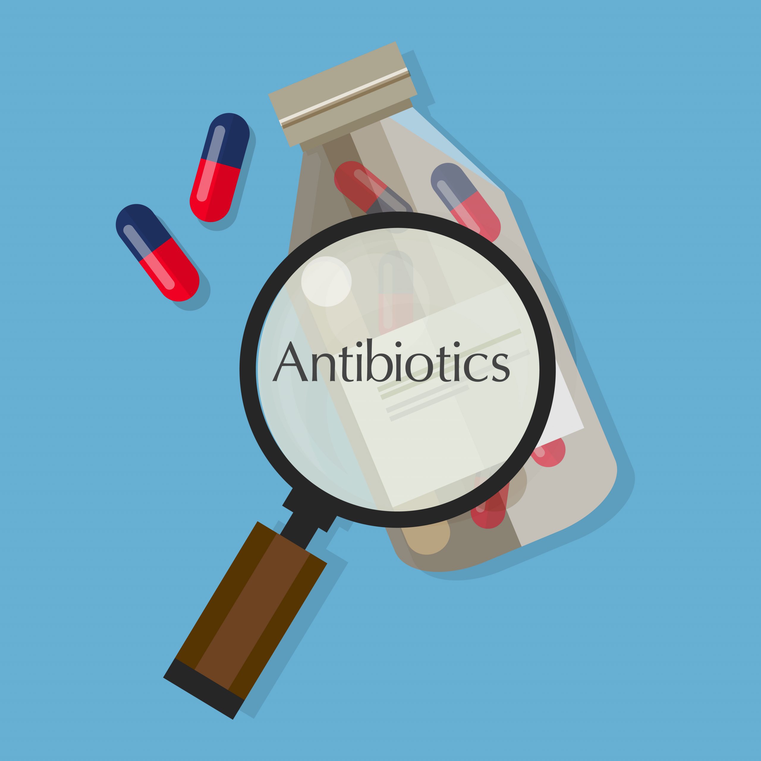 How do Antibiotics Work? Part 3