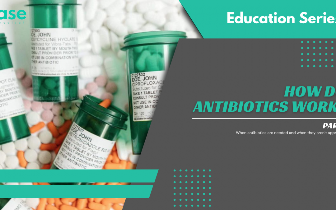 How do Antibiotics Work? Part 3