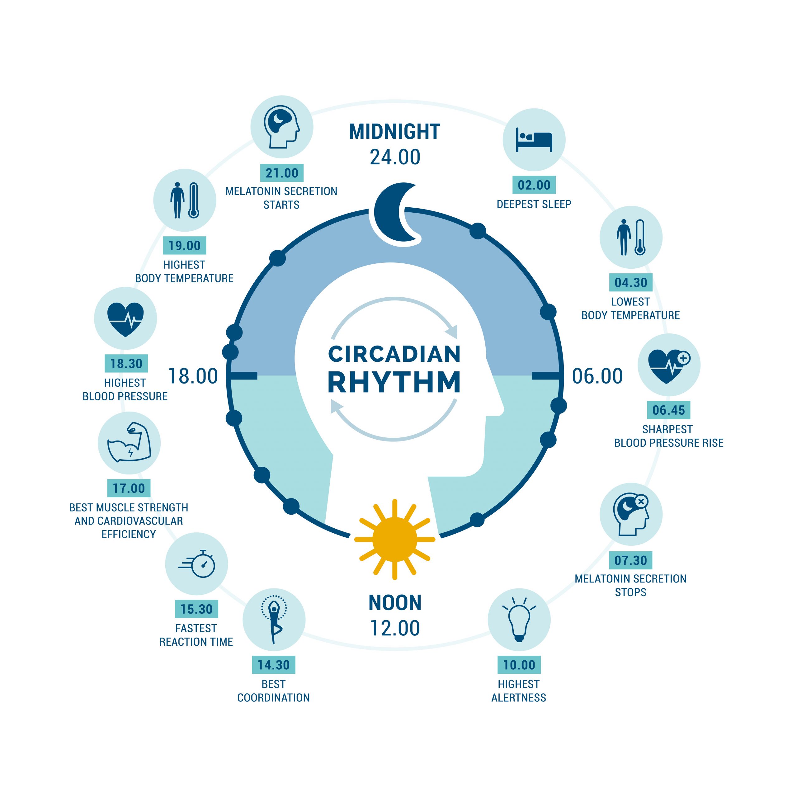 Melatonin &#8211; It Isn’t Just for Sleep Part 2