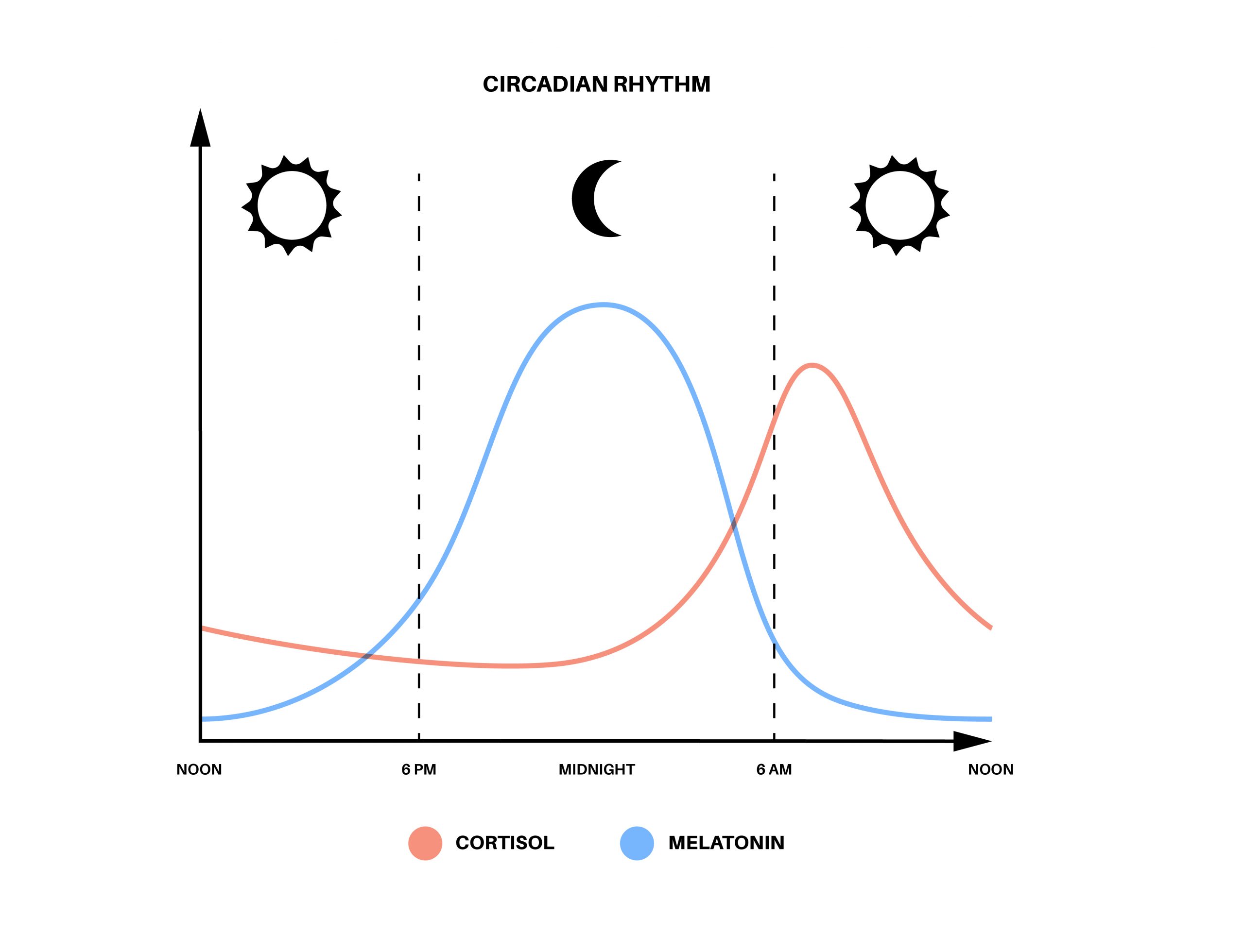 Melatonin &#8211; It Isn’t Just for Sleep Part 2