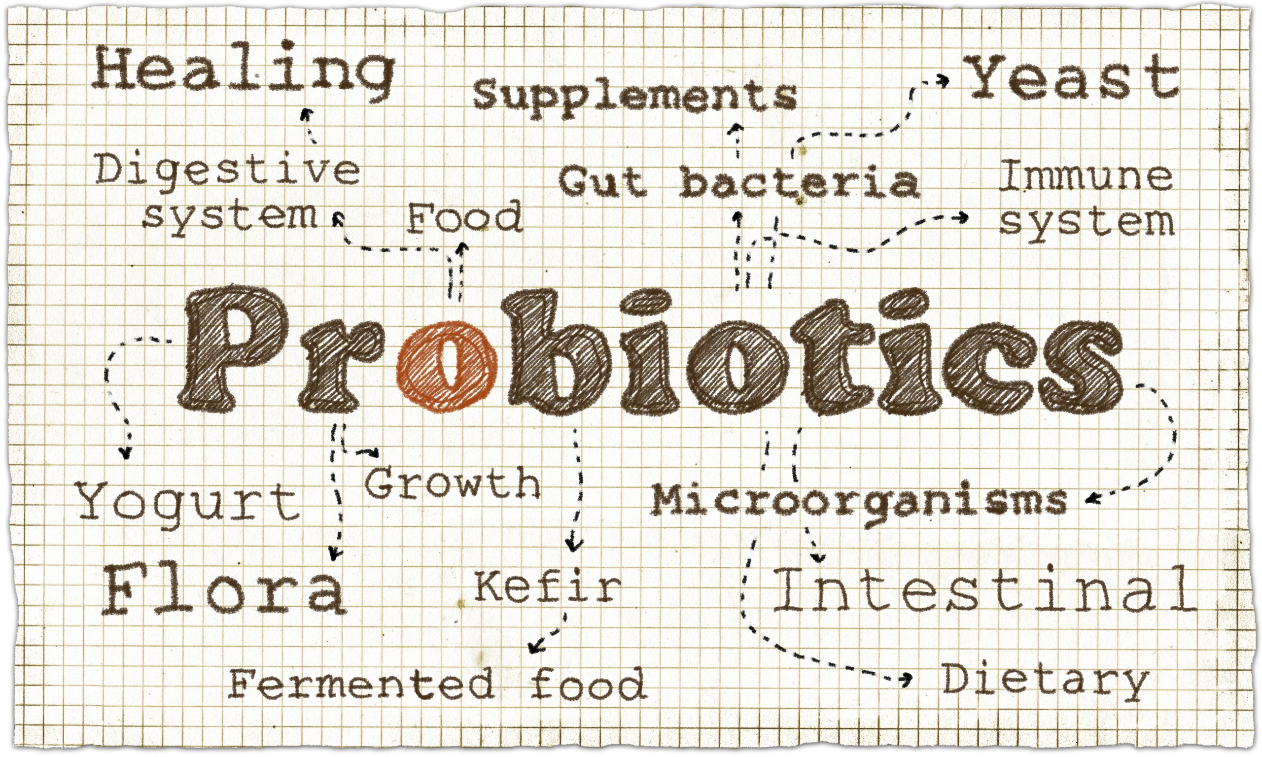 The Power of Probiotics