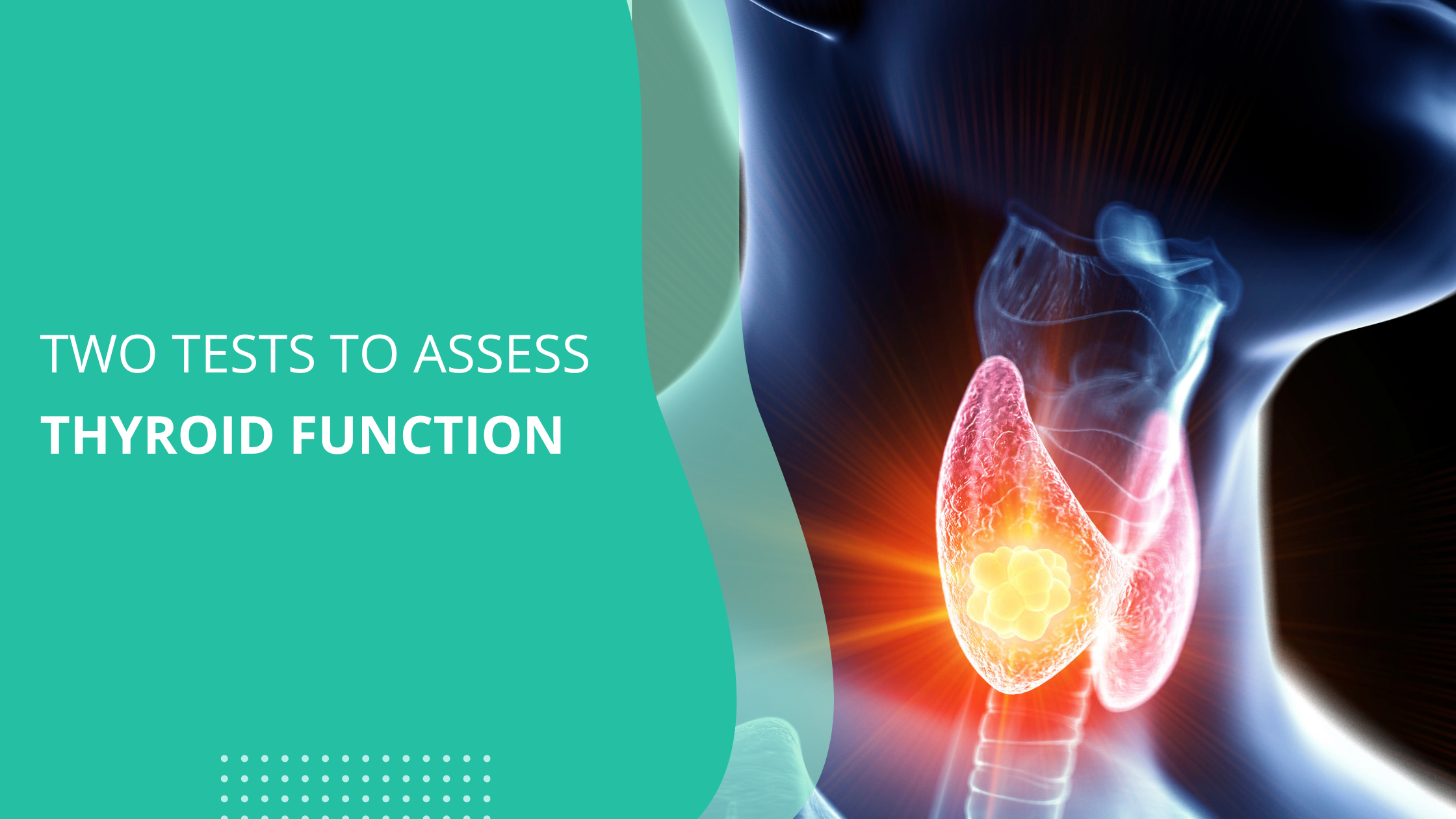 two-tests-to-assess-thyroid-function-jase-medical