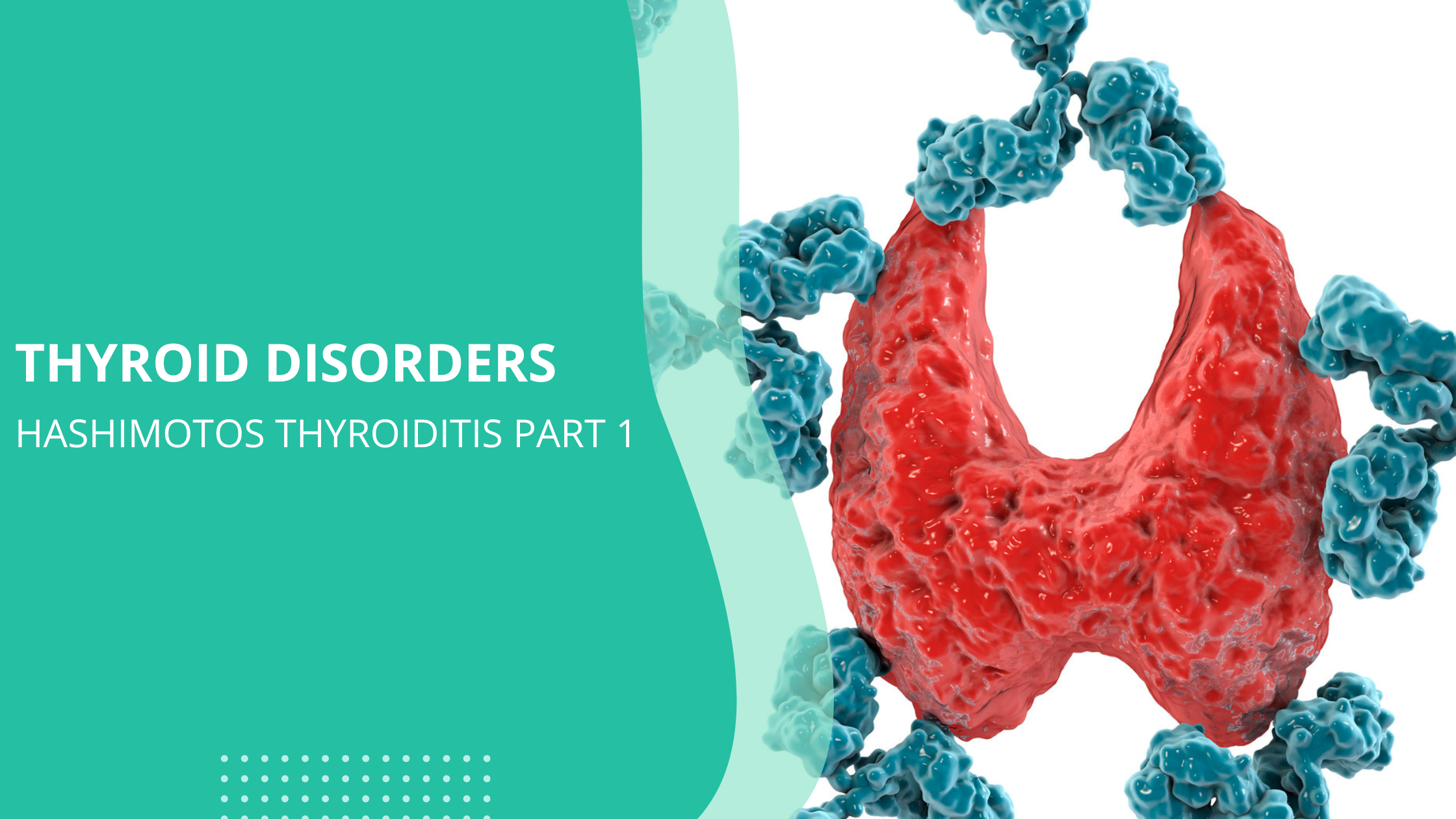 Hashimotos Thyroiditis Part 1