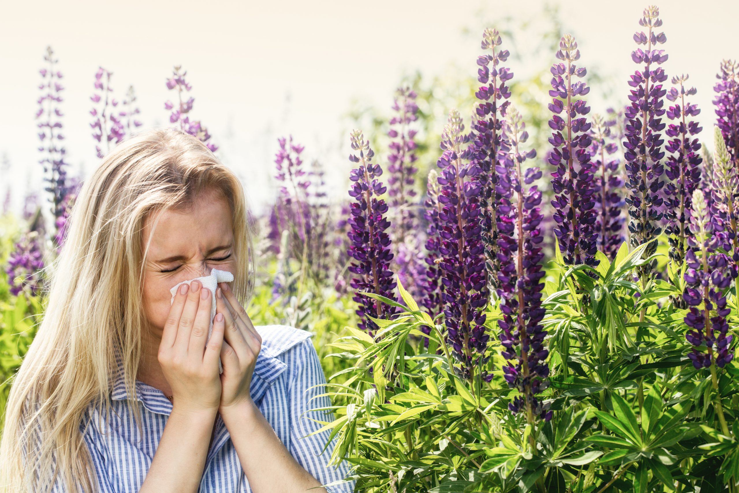 Seasonal Allergy Relief