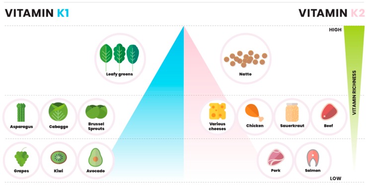 Vitamin K1 and K2, They Are the Same, Right?