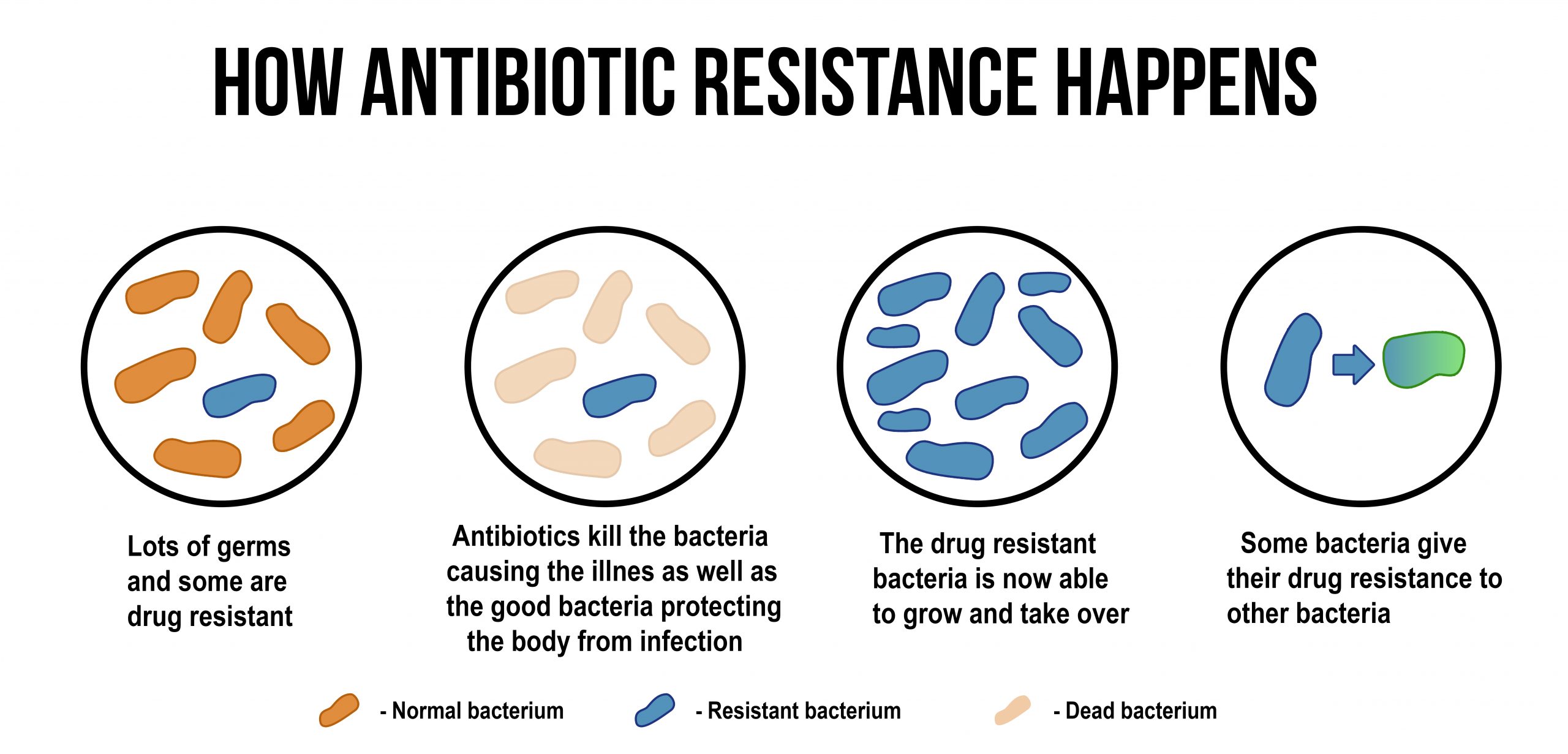 Silent Pandemic &#8211; Antibiotic Resistance