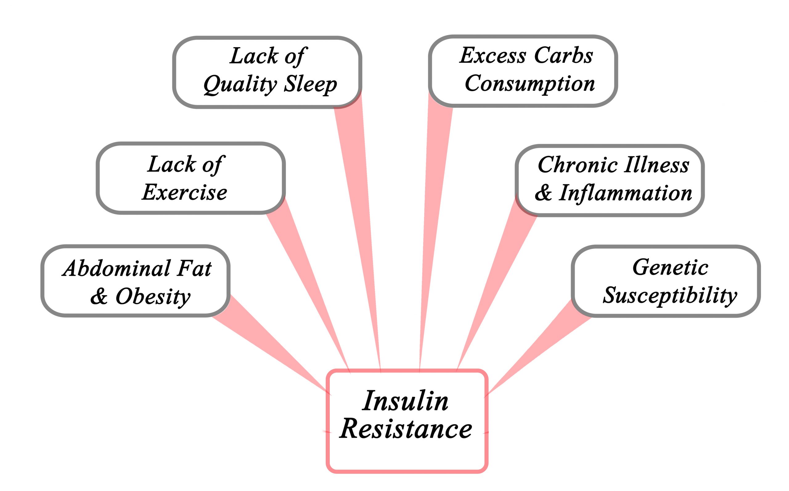 What is Insulin Resistance?