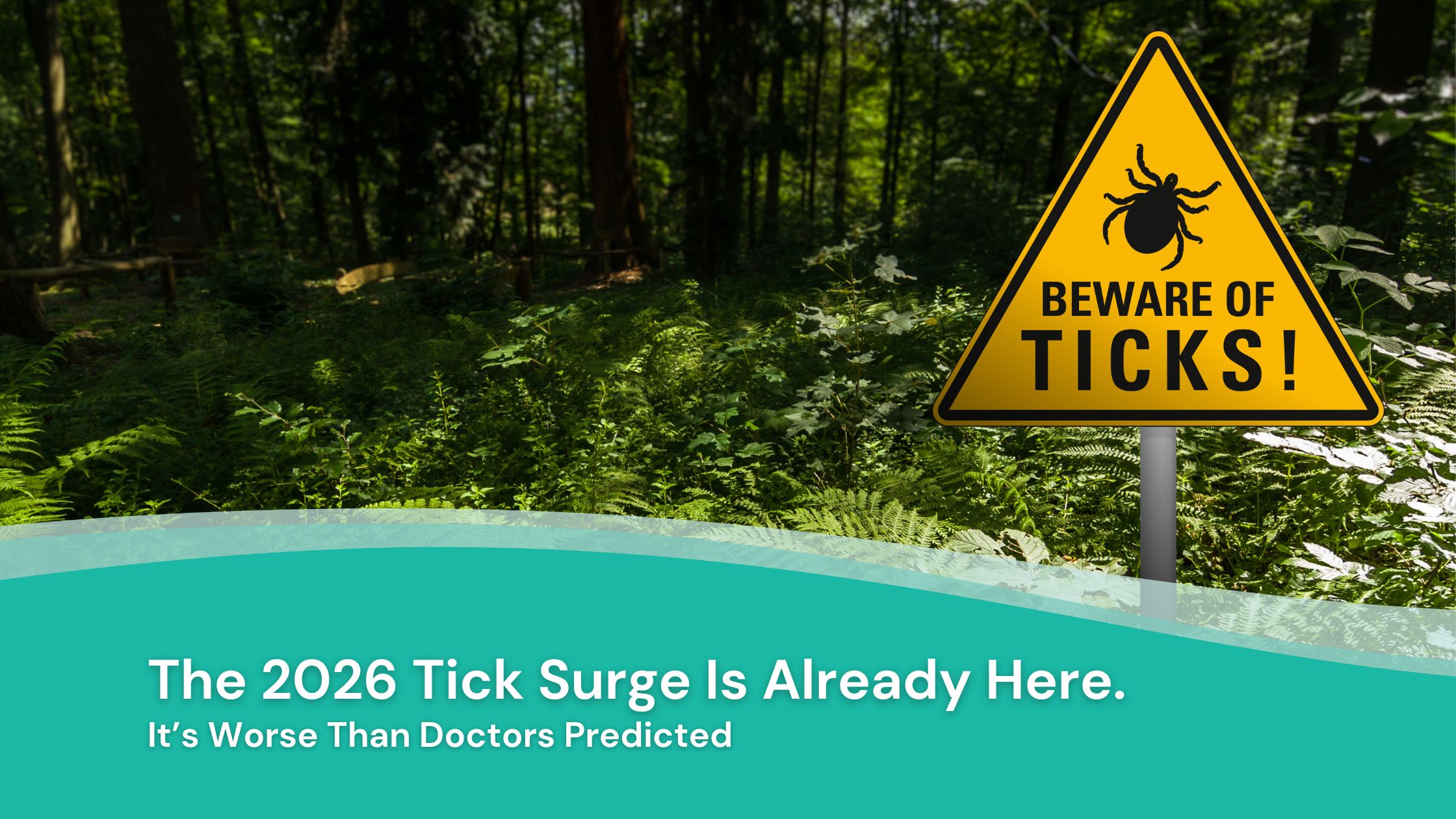 couple looking at computer asking questions