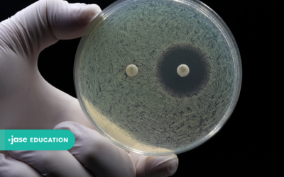Having Antibiotics at Home Doesn’t Cause Antibiotic Resistance
