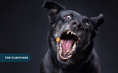 For Clinicians | Bite and Scratch Wound Antibiotic Prophylaxis Without a 48-Hour Recheck