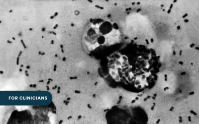 For Clinicians | What Is Plague? One Bacterium, Three Diseases