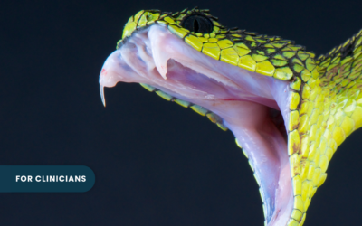 For Clinicians | Should You Suck Out Snake Venom?