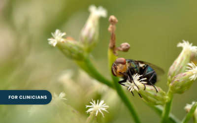 For Clinicians | New World Screwworm in Humans